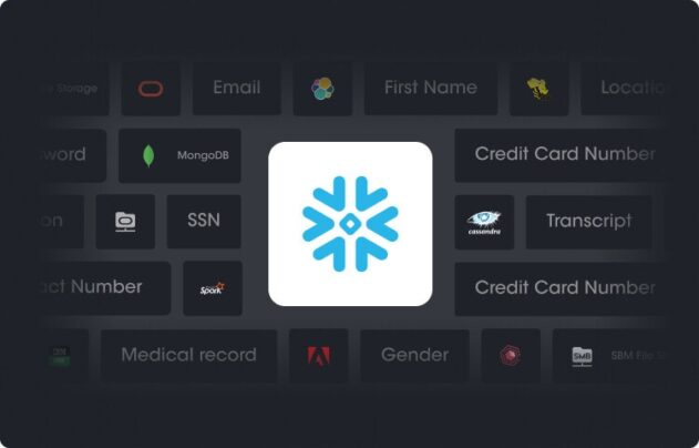 snowflake data discovery banner