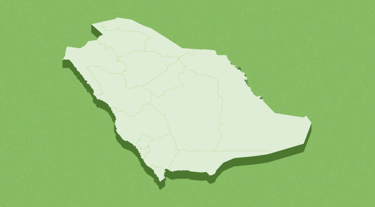 Decoding Saudi Arabia’s Cybersecurity Risk Management Framework
