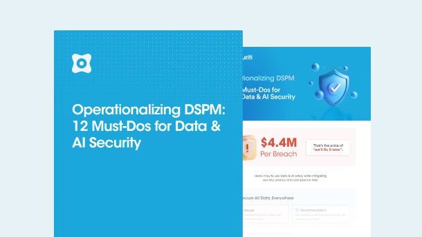 Operationalizing DSPM: 12 Must-Dos for Data & AI Security
