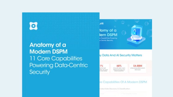 Anatomy of a Modern DSPM: 11 Core Capabilities & the Challenges They Solve