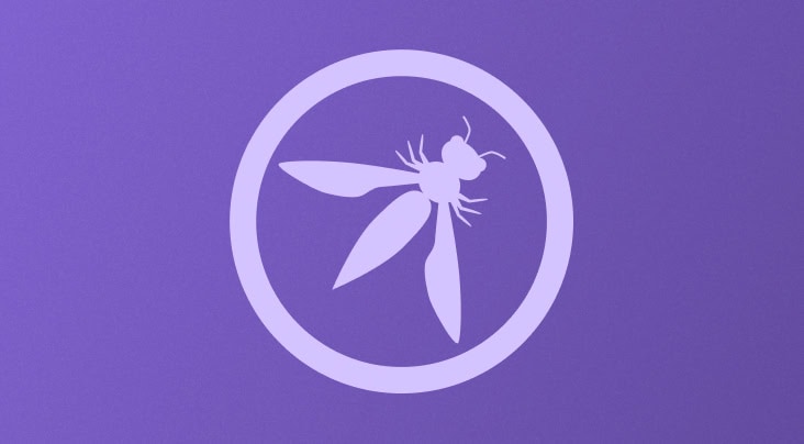 LLM01 OWASP Prompt Injection