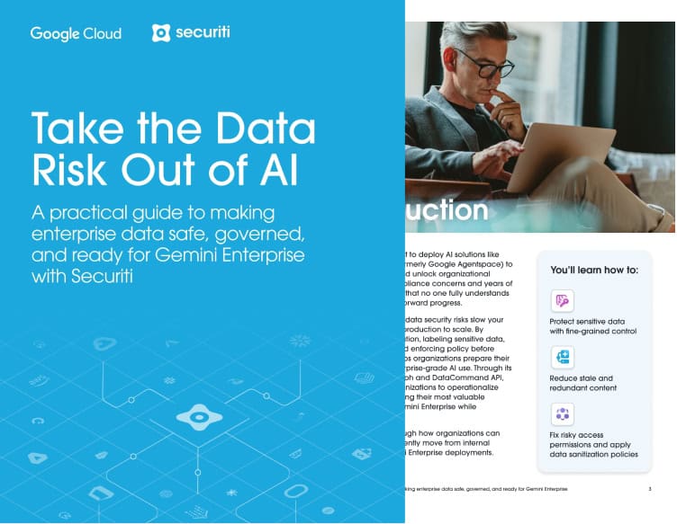 Take the Data Risk Out of AI