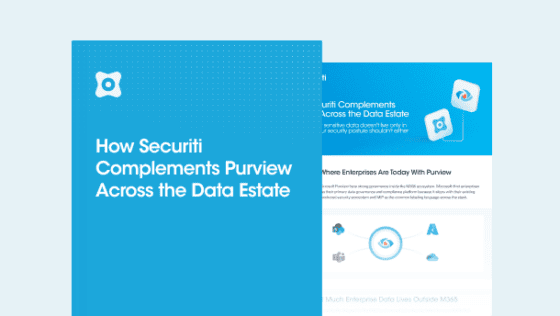 How Securiti Complements Purview Across the Data Estate