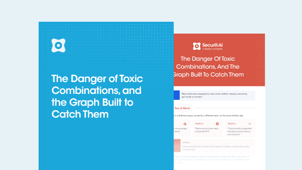 The Toxic Combination Problem in DataAI Risks